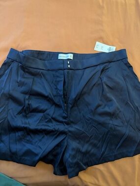 Abercrombie & Fitch Navy Satin Pleated Women's Shorts